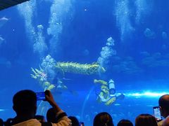 -华夏文旅海洋公园