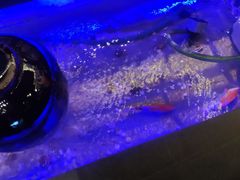 -玉善烧烤串城(长春总店)