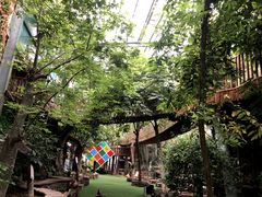 -呀路古热带植物园