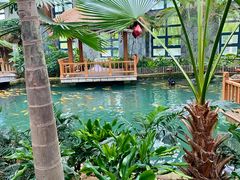 -南宫五洲植物乐园