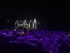 -大塘金香草谷