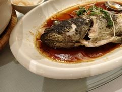 -新雅粤菜馆(南京东路店)