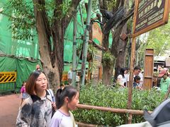 -长鹿旅游休博园