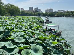 -济南大明湖景区