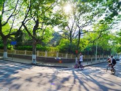 八大关景区-八大关景区