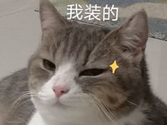 -御宝贝24h宠物医院·转诊中心·CT核磁血透中心(厦门总院)