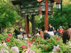 -迎泽公园