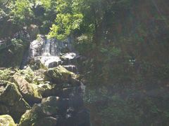 -藏龙百瀑风景区