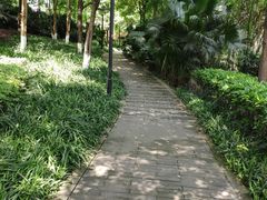 -重庆彩云湖湿地公园