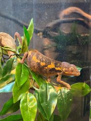 -Zoolung Zoolung动物主题公园(海信广场店)