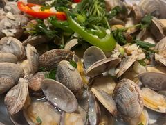 清蒸桂山蚬-和记菜馆