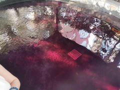 -杭州第一世界大酒店·云曼温泉