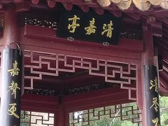 -嘉定紫藤园