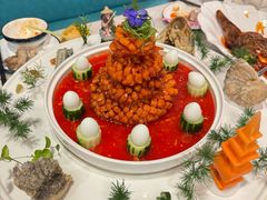 -丁老爷子苏香圆