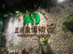 -野象谷景区