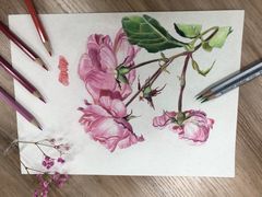 -八哥美术·成人美术画室(总校区)