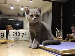 -第三空间·趣味桌游·轰趴.室内CS.剧本杀(大武汉1911店)