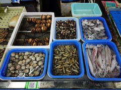 -南沙十九涌渔人码头-南门