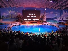 -海合安武汉极地海洋公园