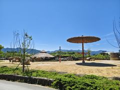 -杭州野生动物世界