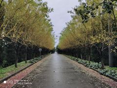 -西部兰花园生态园