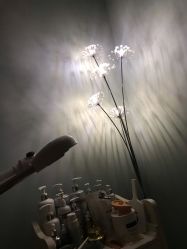 -至臻康妍健康管理中心