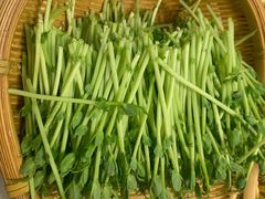 有机豆苗-菌子鲜汤野生菌锅