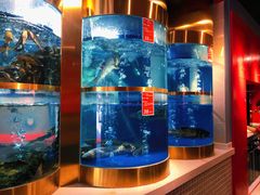 -蜀滋香鲜鱼美蛙火锅(339店)