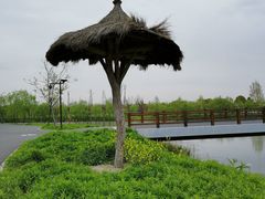 -广富林郊野公园