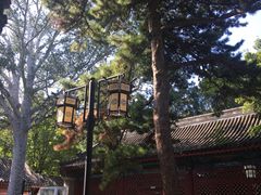 -北京鹫峰国家森林公园