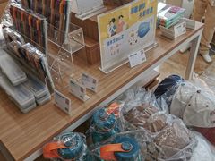 -北京市海淀外国语实验学校