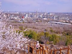 -白水寺森林公园
