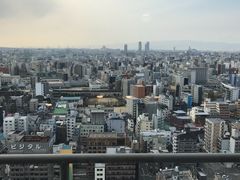 -大国药妆(NEW心斎橋店)