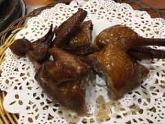 红烧乳鸽-华信美食