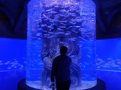 -哈尔滨波塞冬海底世界