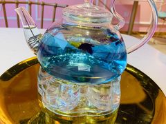 蓝蝶花茶-金私燕鲜炖燕窝(万达店)