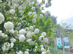 -乌山风景区