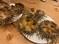 -海胆小馆(东北水饺·春柳店)