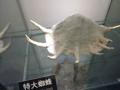 -泉城欧乐堡海洋极地世界
