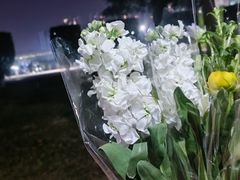 -暨南大学(珠海校区)