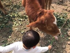 -小鱼草莓采摘园农家乐·小鱼餐厅
