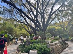 -东莞市可园博物馆