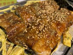 烤活鳗鱼-鳗鱼家·深夜食堂(军博店)