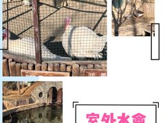-南宫五洲植物乐园