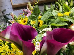 -爱尚幸福鲜花(上地实体店)