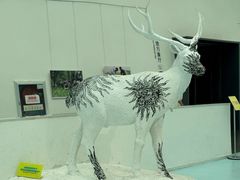 -中国湿地博物馆
