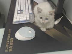 -宠福鑫康馨动物医院·骨科·眼科