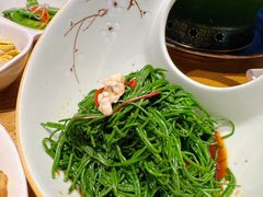 -蒙料·手把肉(望京店)