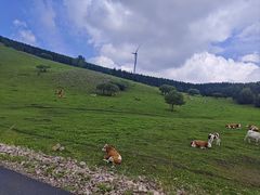 -塞罕坝国家级自然保护区