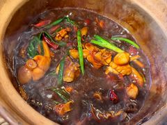 -绿柠食堂(北外滩店)
